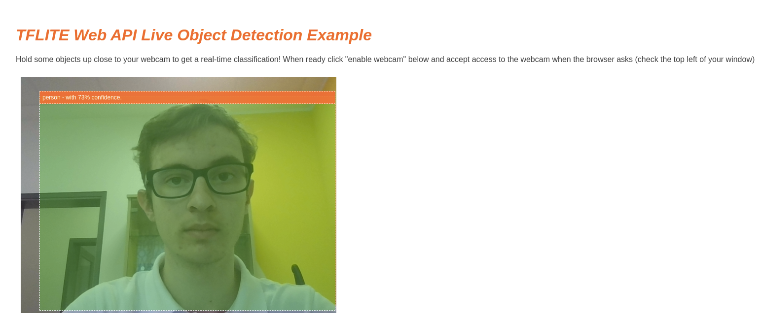 live_object_detection_example