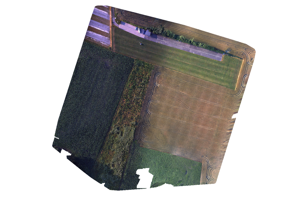 Photogrammetry output