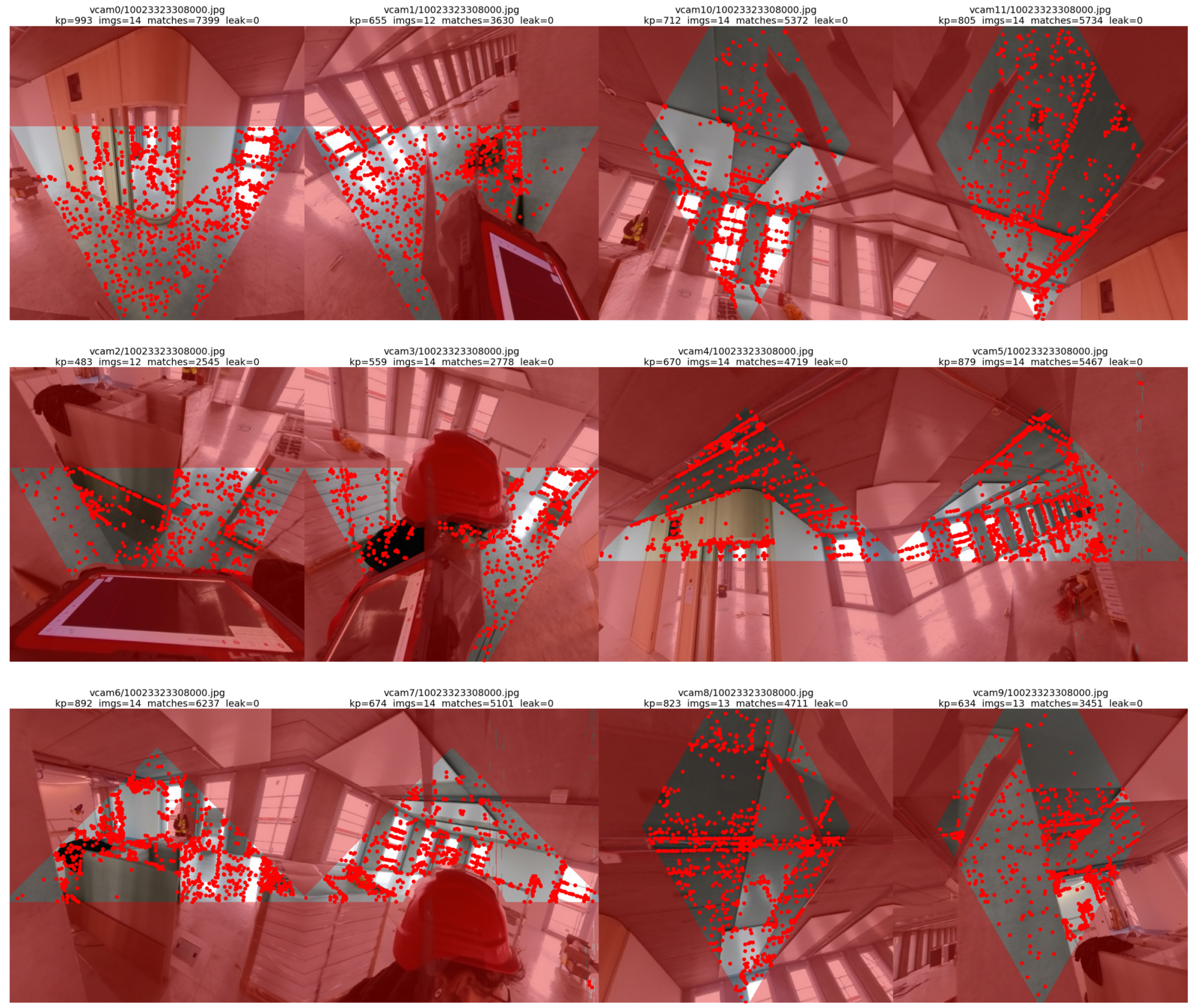 Virtual perspective views rendered from the dual-fisheye rig