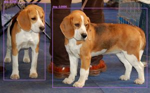 OpenCV Yolo Prediction Example